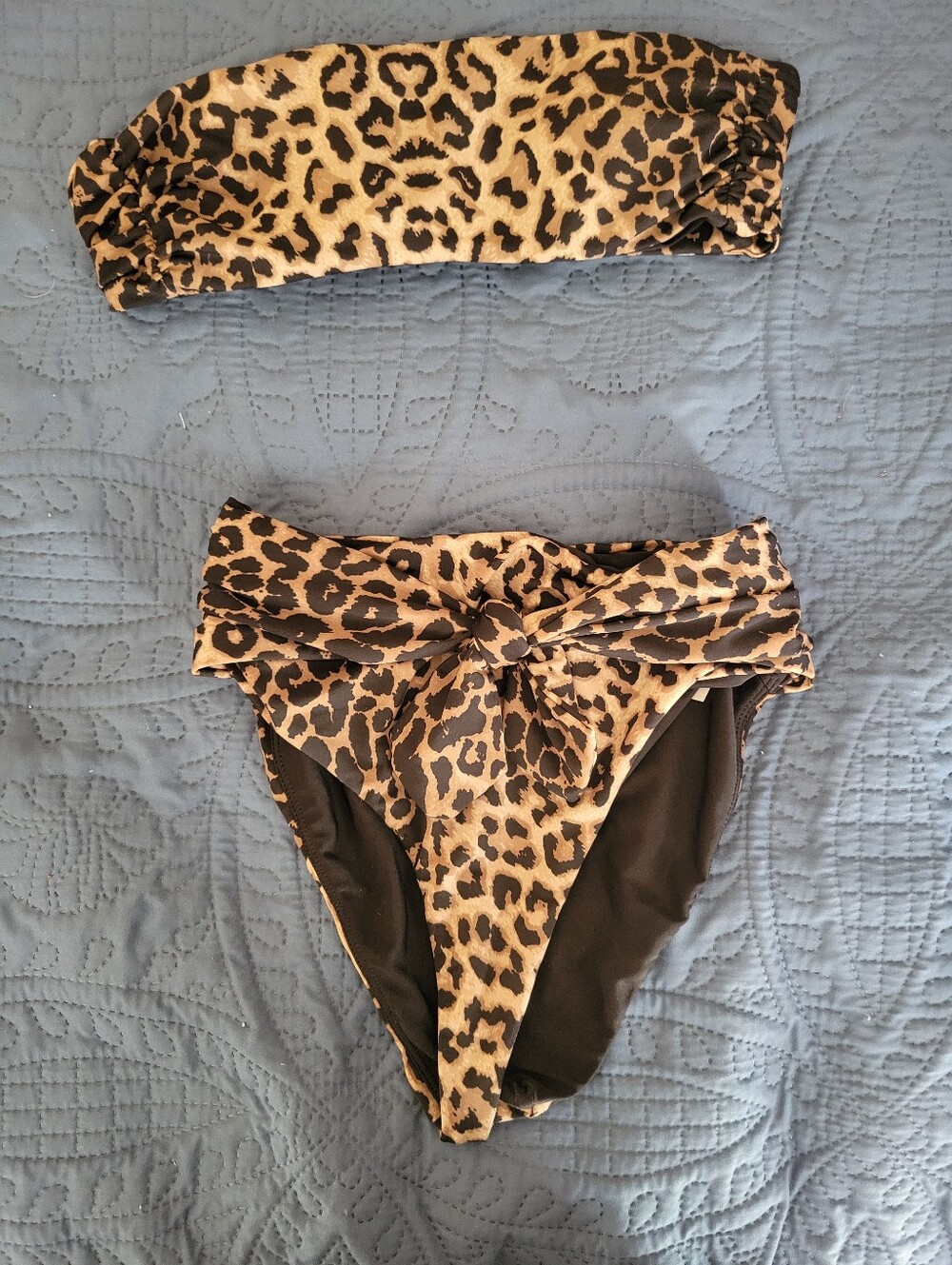 Leopard Print Bandeau Top & High-Waist Bikini Bottoms - Tan/Black